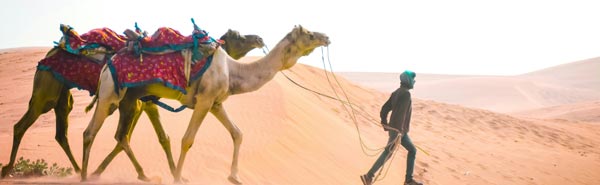 Jaisalmer