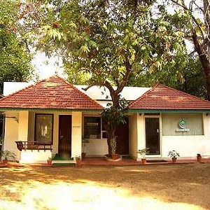 Ayurveda in Cochin
