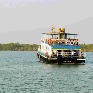 Boat Safari in Sundarbans National Park
