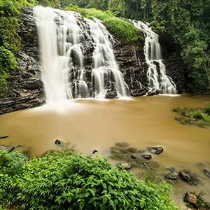 Coorg