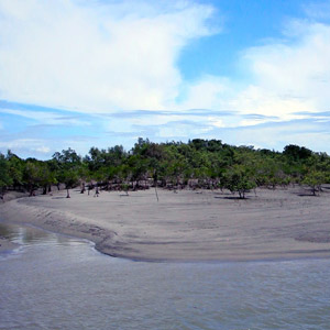 Other Attractions of Sunderbans