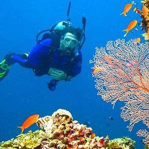 Adventure in Pondicherry