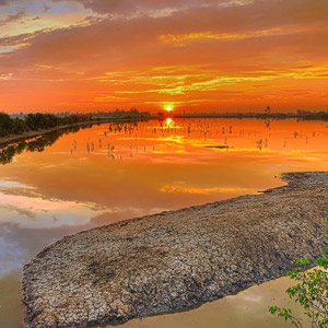 Topography & Vegetation of Sunderbans National Park