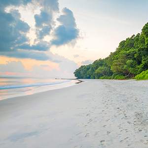 Beaches