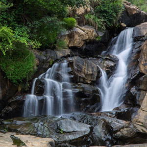  Other Attractions of Munnar