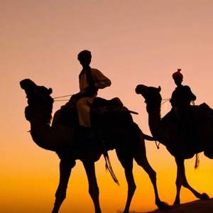 Desert Safari