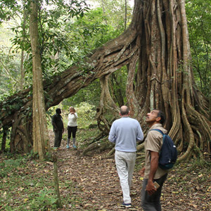 Eco Tourism in Periyar