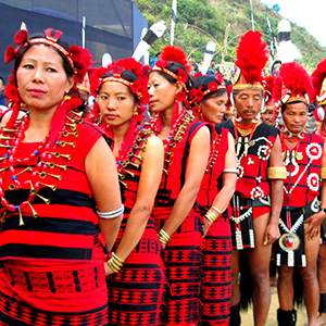 Hornbill Festival, Nagaland