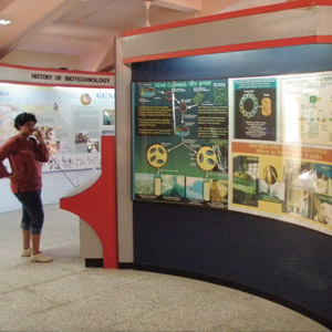 Anthropological Museum