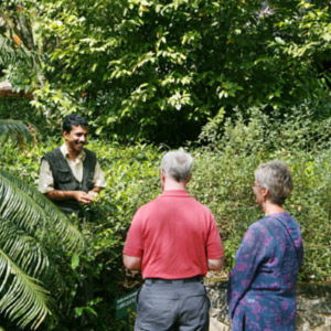 Spice Plantation Tours