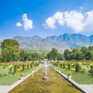 The Mughal Gardens 