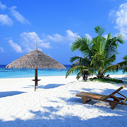 Goa and South India Tour
