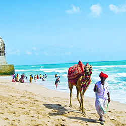 Explore Saurashtra Tour