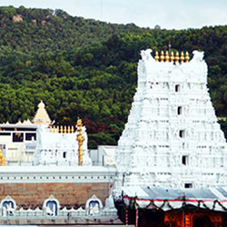 Indian Temples and Spices
