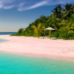 Enchanting Karnataka with Goa Tour