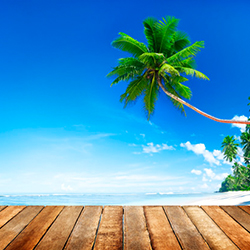 Exotic Goa Vacations