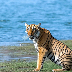 Corbett Adventure Package